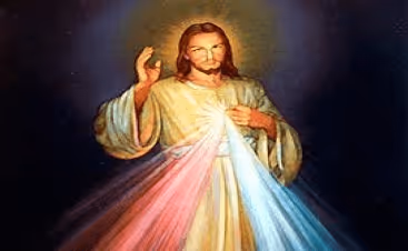 UrMomsHouse Collection