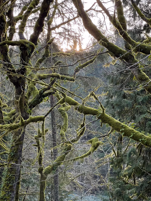 Item #91617752073666326594731417993402208239254079750039959991069806365782310912001 Media