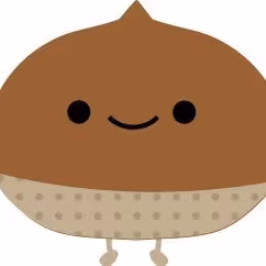 Shohei_Nakamoto Collection