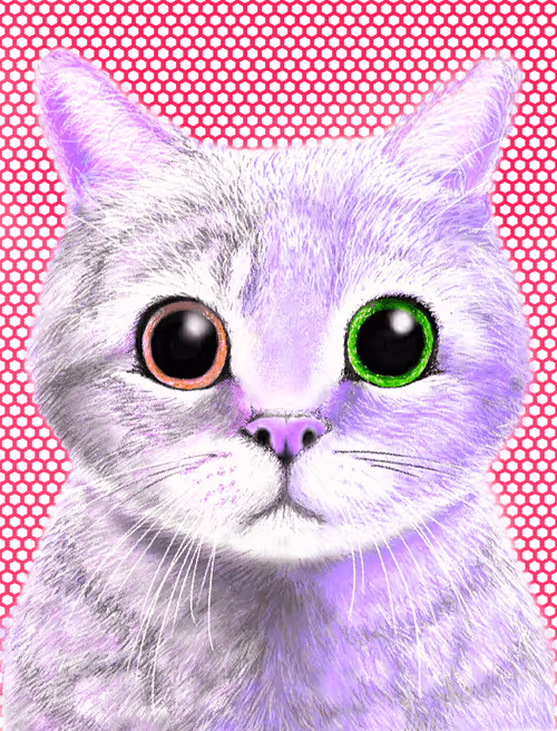 Item #56621992303262747893271366005093707345711101762340673219461019470672619896833 Media