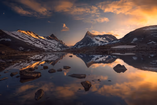 Item #96581077355438815098839991825512832741865857060493476294166675729269039038465 Media