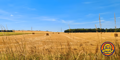 Item #35863194083128256797647772425284652682645032595179500226087347088935060766721 Media