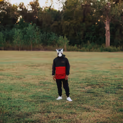 24254534113002831667604478980442589605007155413265616638335107441013456633857