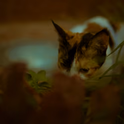 A moment to smell the flowers...