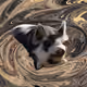 53180631642456764738139299674940583640479914081960747744151193567287842963457