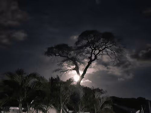 Untitled Collection #80589672