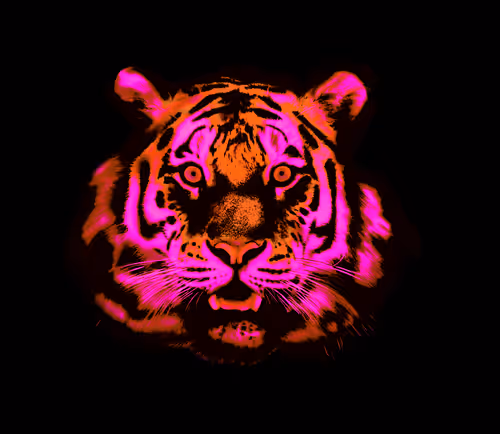 Item #59191331976373817351168936275193705412897253256458674987346138613796644585473 Media