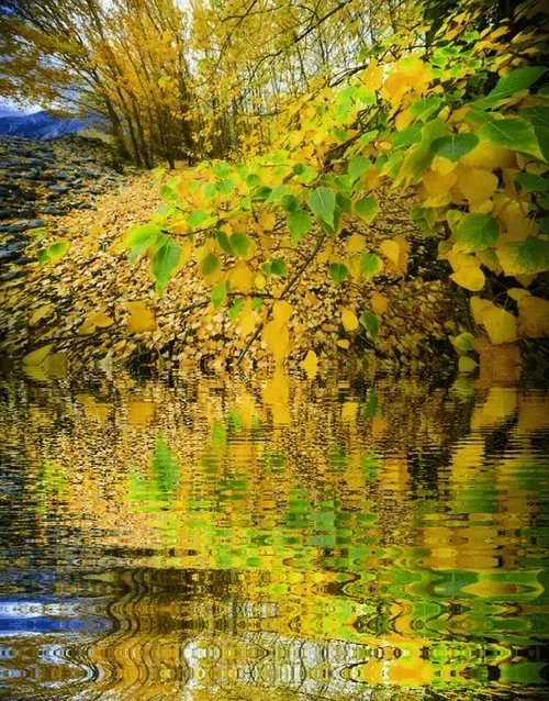 Item #33273431064062745158281459223994481396408298461003960329838769758002718179333 Media