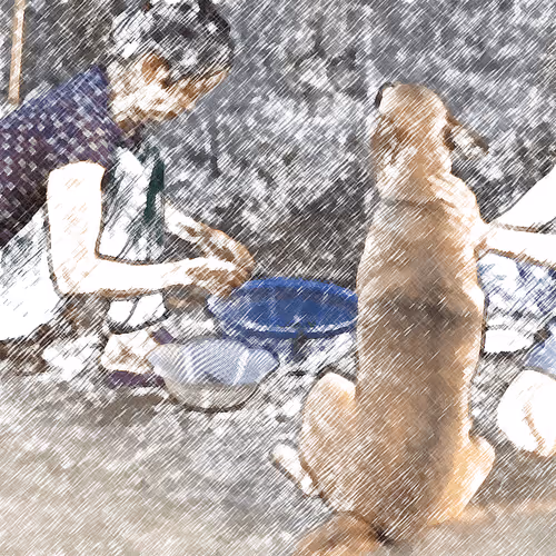 Item #60872619837691221380598772379199687770025926314057253898285761369408549158922 Media