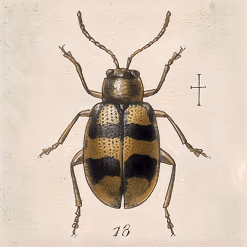 Item #58241160855422744817468407088196322100109565521561100950236904388102390284289 Media