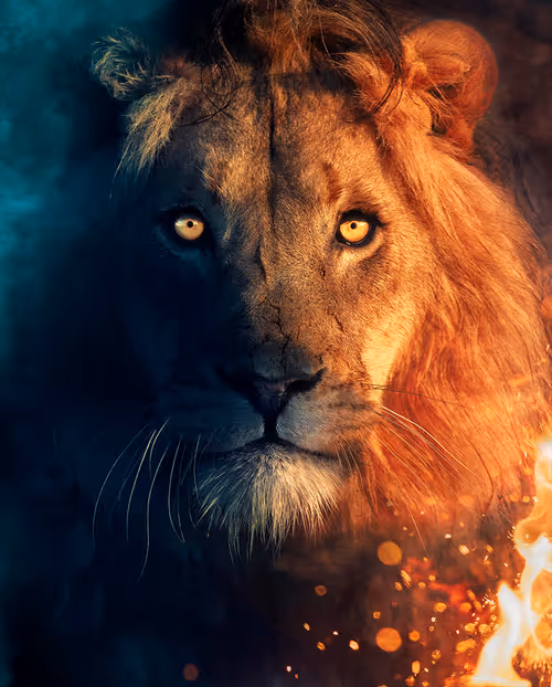 Item #113521178305738834012148518391550550346987699669126125358931063151308774048244 Media