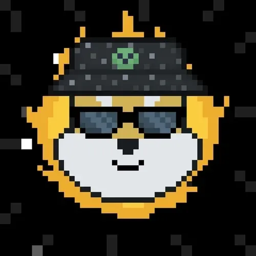 Rocket Shiba #801
