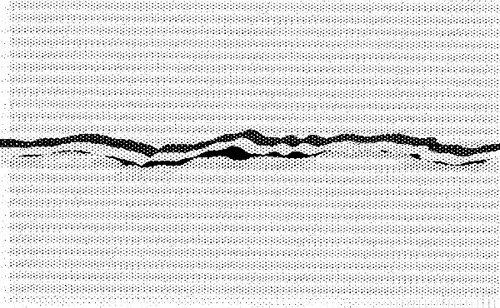 Item #65033471295990105292863051236151584237795401292805181333653600554110400069633 Media