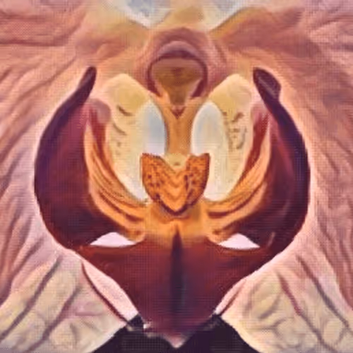 Item #91003447220106575145776258190882782768277350106732937302853409375746101608449 Media