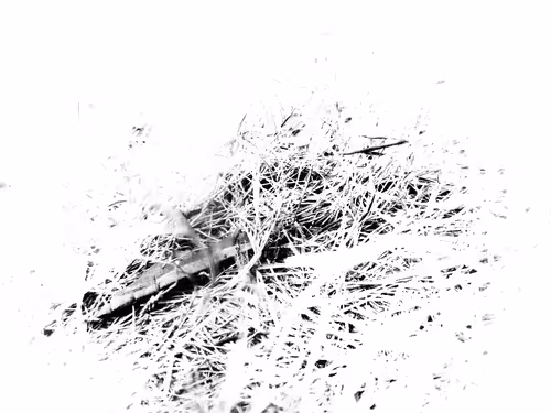 Untitled Collection #60034835