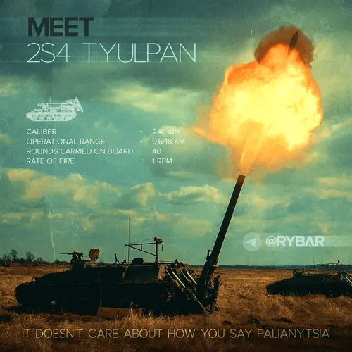 Item #42859009001016246632263995231491744008716163956391912516090367080244145291274 Media