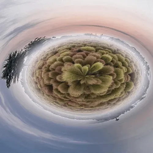 Item #65760630724108139218180585270156099657841100721701528894936951526755496099890 Media