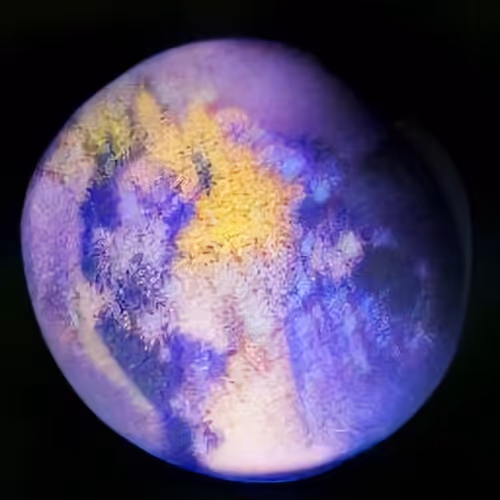 Item #114087174487934619201434824313700903145403848734953658040417905323007602065409 Media