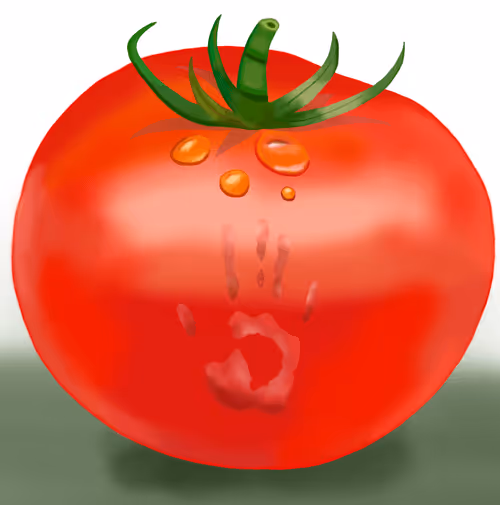 Item #60390873745018715420436410224591667562366050607028838846620061623472413999105 Media