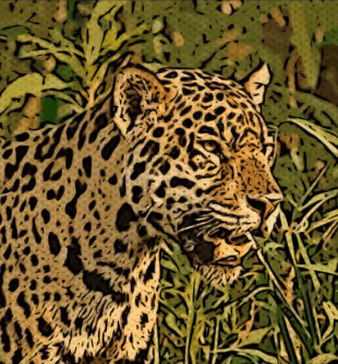 Item #80775902316794198933322065310999531752675870207141919719539670312676011016193 Media