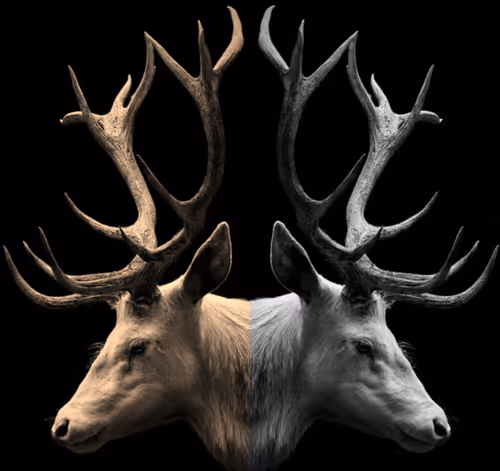 Item #34454936067109255411821695593986662576019221036187321850642630762615172759553 Media