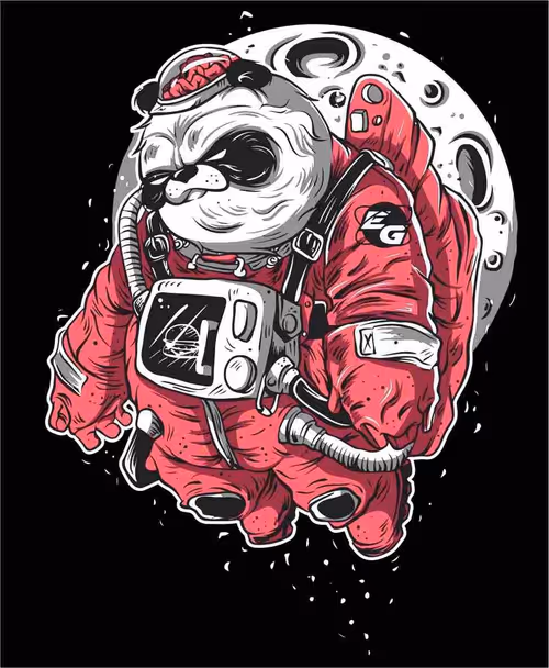 Item #88504287623338577583770066583069879280295494999550419232635446296620191186945 Media