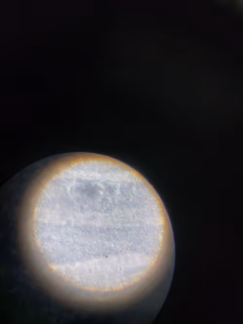 Item #12499860690887257293727532681291822536045842218714555575181684145074324111361 Media