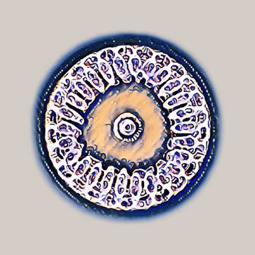 Item #76890309982572414559524539652653274915372995696638965878349557296733569941505 Media