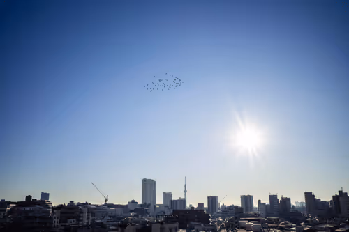 Item #65735283901235411095565859455791530090015704811558660765095343467766294249473 Media