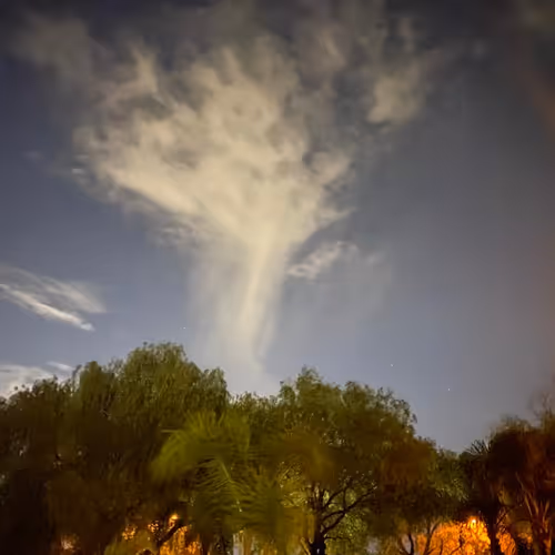 Untitled Collection #61012017