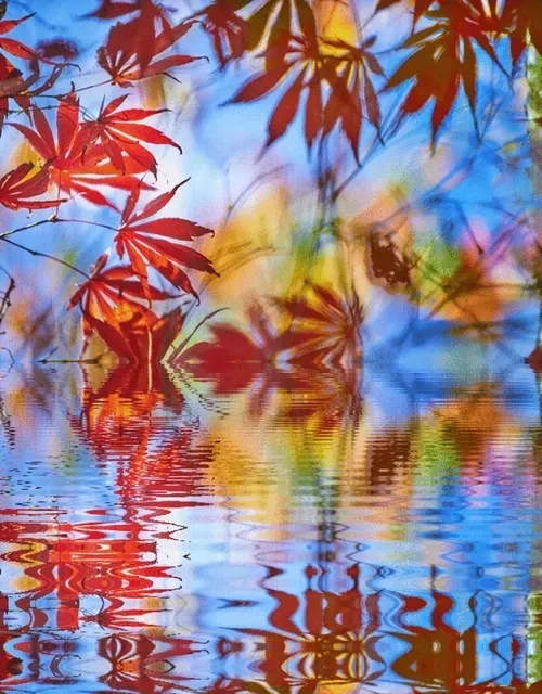 Item #33273431064062745158281459223994481396408298461003960329838769762400764690437 Media