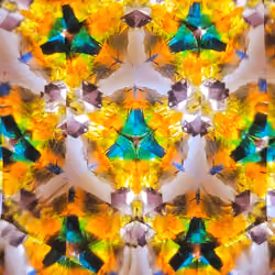 CP(3)48