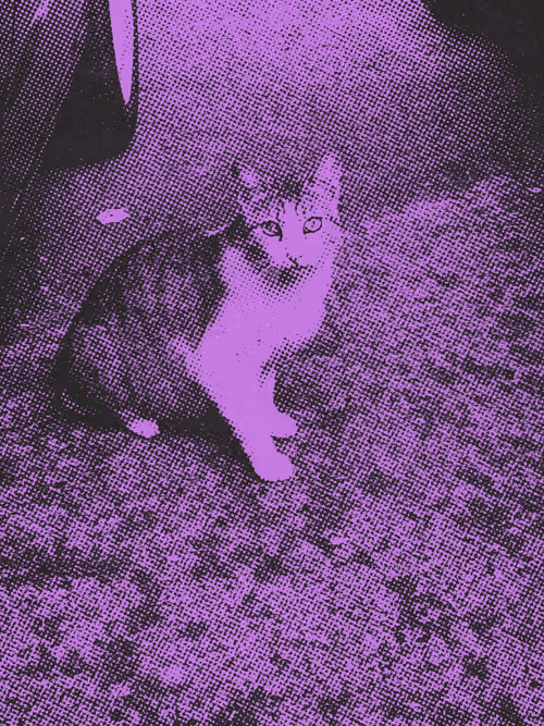 Item #102650025238985064889532626323507420633017859616961165632132730246473315254273 Media