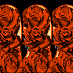Orange Light Rosy Souls