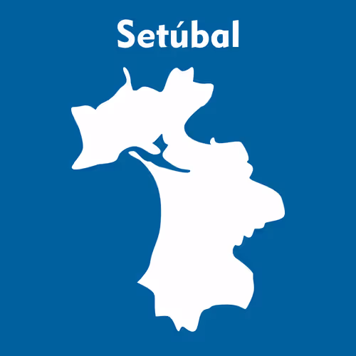 Item #53594356007989535792850162458107501771688790401863407050360661579787778654213 Media