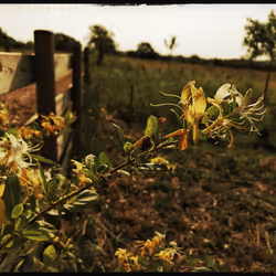 3787080761074609709675817509753112159059746763483256848434353779897756811265