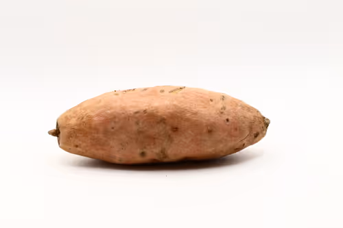 Item #97726151104522163495278545296769301934737660224123995419035737096001696038913 Media