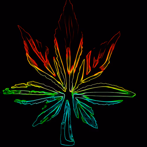 Item #38061558672569619382459871877364344756388492459025547974353264262426036011009 Media