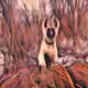 17965412387956747341560568120002732518682305380971851462154980182328176803890