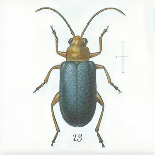 Item #58241160855422744817468407088196322100109565521561100950236904301240971689985 Media