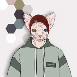 sfenks cat nft #013