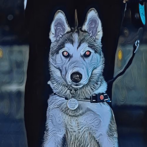 loki the husky