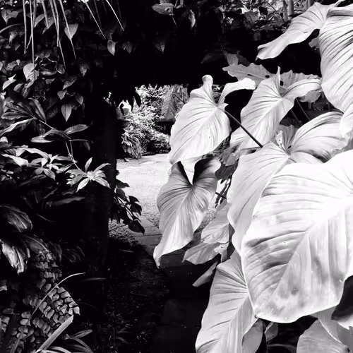 Item #78926493058180902224951420418338520494143290950102848006872373419933018619905 Media