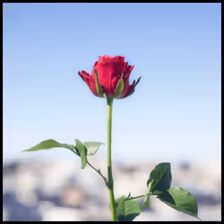 65735283901235411095565859455791530090015704811558660765095343380904875655177