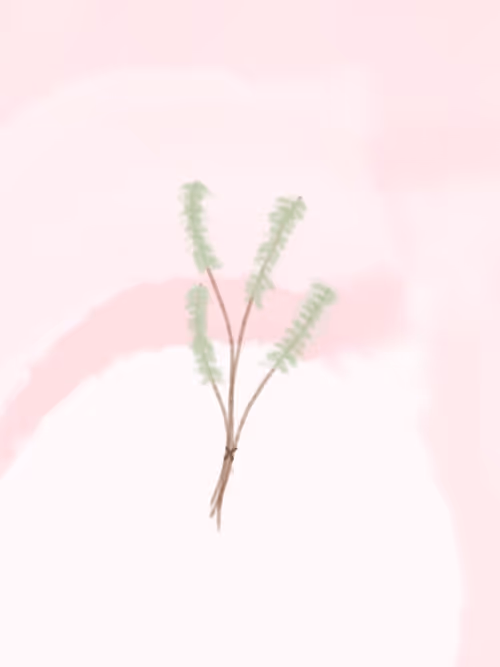 Item #14993265149039980897542067142831098559196492205517611617835635693000251670529 Media