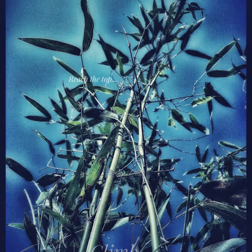 3787080761074609709675817509753112159059746763483256848434353565492989394945