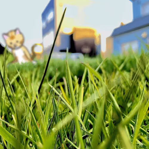 Item #104541106411284359415163385457007505408159964418491195264433760236618381262849 Media