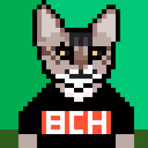 Item #85876057152719655446786077003309861205031470611805372357933187000098288041985 Media