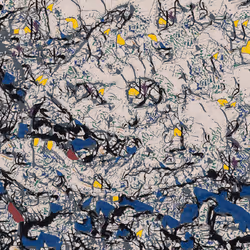 80092882259493367463484569941862688859981243870241048997485309634293098610689