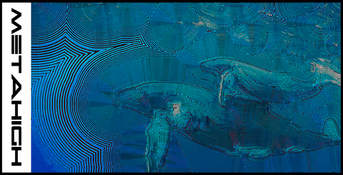 Item #111540759440703389397648193115311161268908663072492376357966158693116940386305 Media